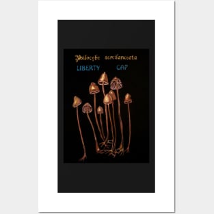 Liberty Cap - Magic Posters and Art